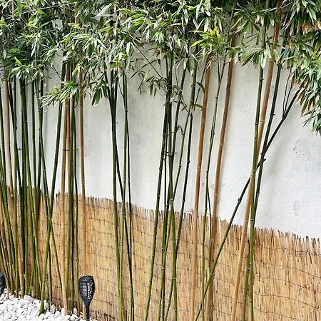 L'escale Avec Jardin - Coeur De